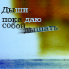 Аватар дыши пока даю собой дышать
