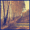 Аватар природа