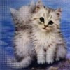 Аватар Киска