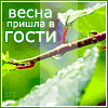 Аватар весна пришла в гости