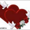 Аватар голуби любви