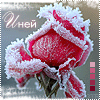 99px.ru аватар Иней
