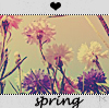 Аватар весна,поле с цветами