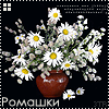 99px.ru аватар ваза с ромашками, ромашки