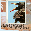 Аватар признаки весны, черный ворон
