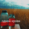 Аватар одной крови