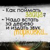 99px.ru аватар -Как поймать зайца? -Надо встать за дерево и издать звук морковки ХД