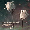99px.ru аватар погасающий свет, роза белая