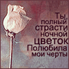 99px.ru аватар Ты полный страсти,ночной цветок,полюбила мои черты