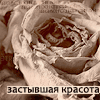 Аватар застывшая красота