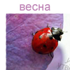 99px.ru аватар Весна, божья коровка