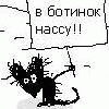 Аватар в ботинок нассу