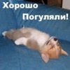 Аватар хорошо погуляли