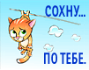 Аватар сохну по тебе