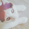 99px.ru аватар Черно-белый кот
