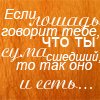 Аватар Если тебе лошадь говорит,что ты сумасшедший,то так оно и есть