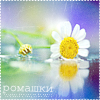 99px.ru аватар Ромашки
