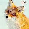 99px.ru аватар Лиса,Fox