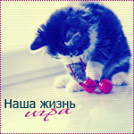 99px.ru аватар Наша жизнь-игра,котенок играет