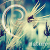Аватар Природа,nature