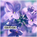 Аватар Люблю, голубые цветочки