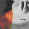 Аватар Сквозь