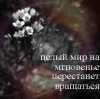 Аватар Целый мир на мгновение перестал вращаться