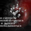 99px.ru аватар И смотреть ненасмотреться и дышать ненадышаться