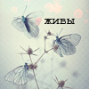 99px.ru аватар Живы, три мотылька