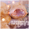 Аватар Я тигренок,а не киска