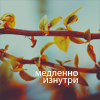 Аватар Медленно изнутри, веточка дерева