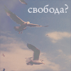 99px.ru аватар Свобода?