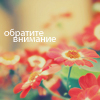 Аватар Обратите внимание