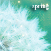 Аватар Весна,одуванчик,spring