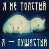 Аватар Я не толстый,я пушистый!