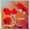 Аватар Одни