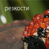 99px.ru аватар Резкости