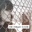 Аватар Не надо слов
