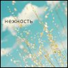 Аватар Нежность