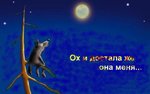 Аватар Ох и достала же она меня!