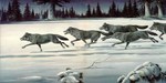 Аватар Стая волков