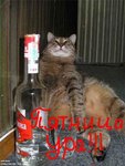 Аватар Пятница, ура!