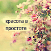 99px.ru аватар красота в просторе