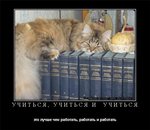 Аватар Учиться, учиться и ещё раз учиться и это лучше, чем работать, работать и работать