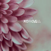 99px.ru аватар Холод