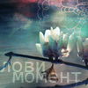 Аватар Лови момент