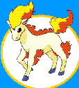 Аватар Коняшка
