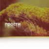 99px.ru аватар Прости