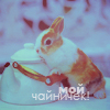 Аватар Мой чайничек