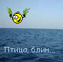Аватар Птица, блин!